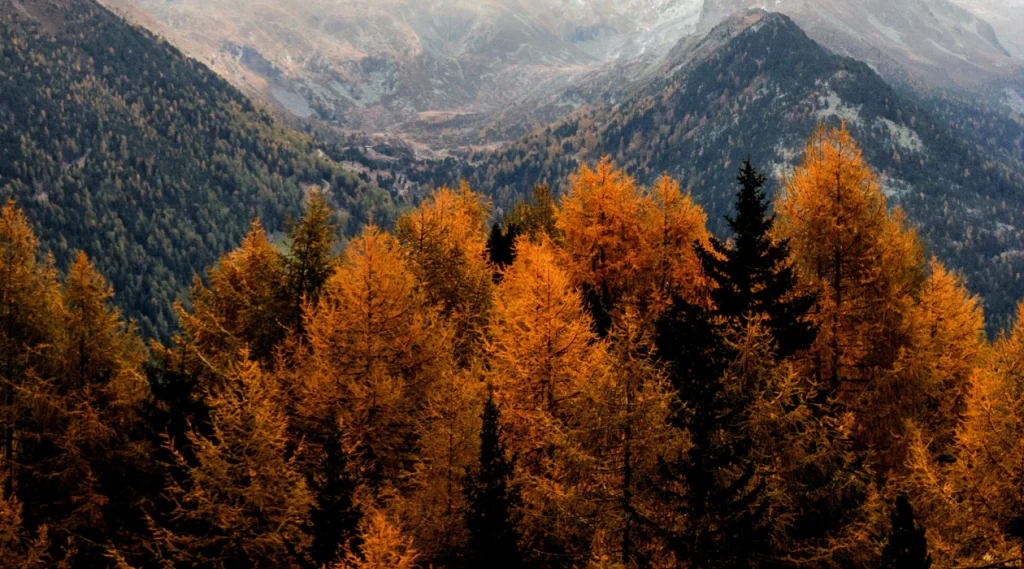 Blog Article 2 1024x569
